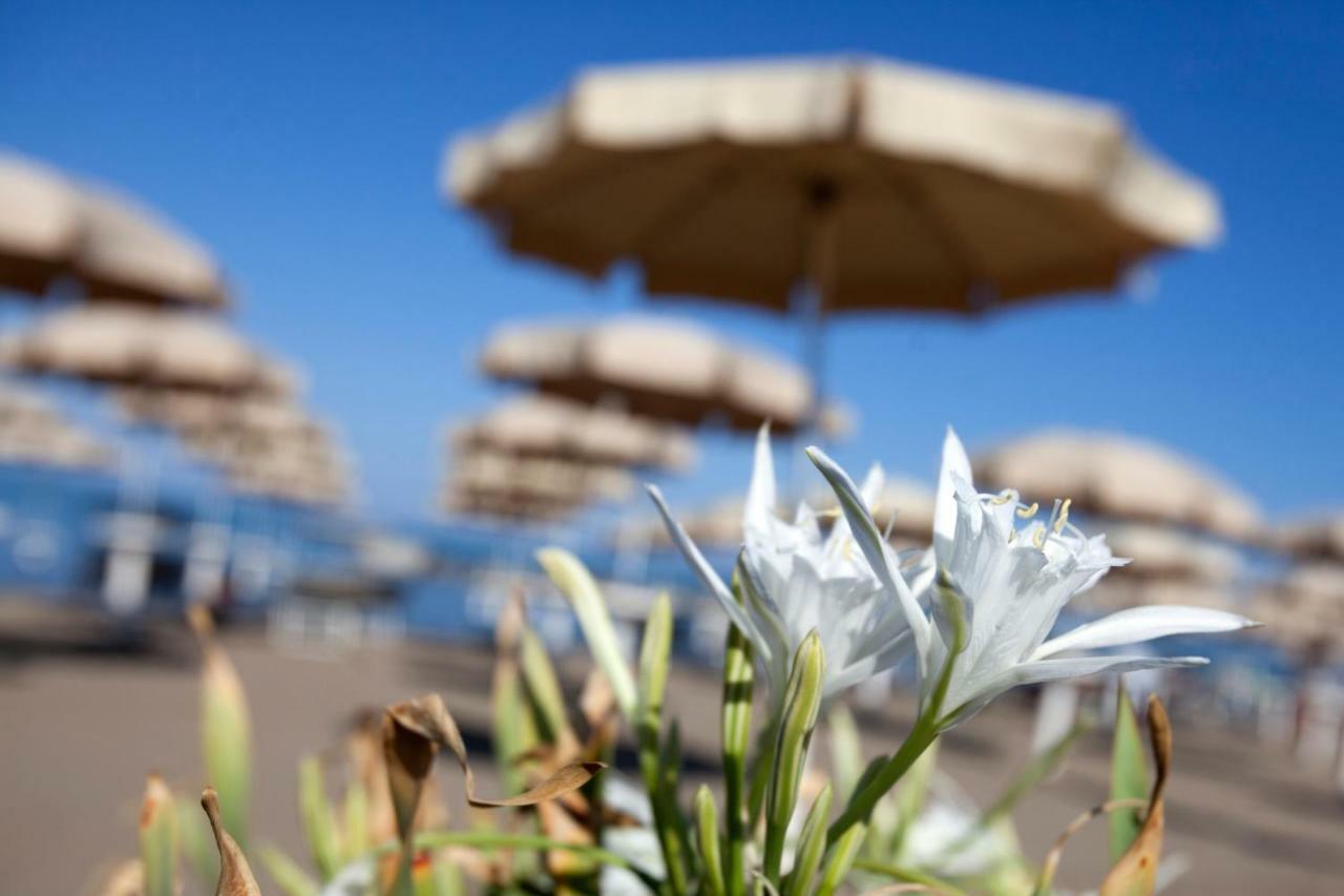 Argentario Garden House Βίλα Albinia Εξωτερικό φωτογραφία